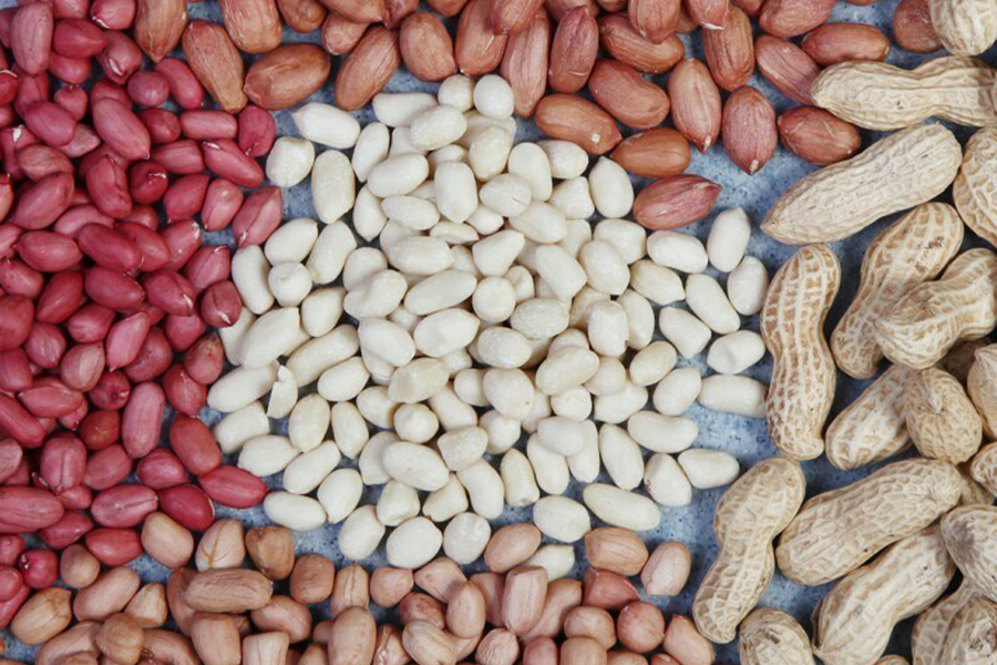 Blanched Peanut Kernels